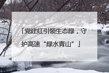党建红引领生态绿，守护高速“绿水青山”